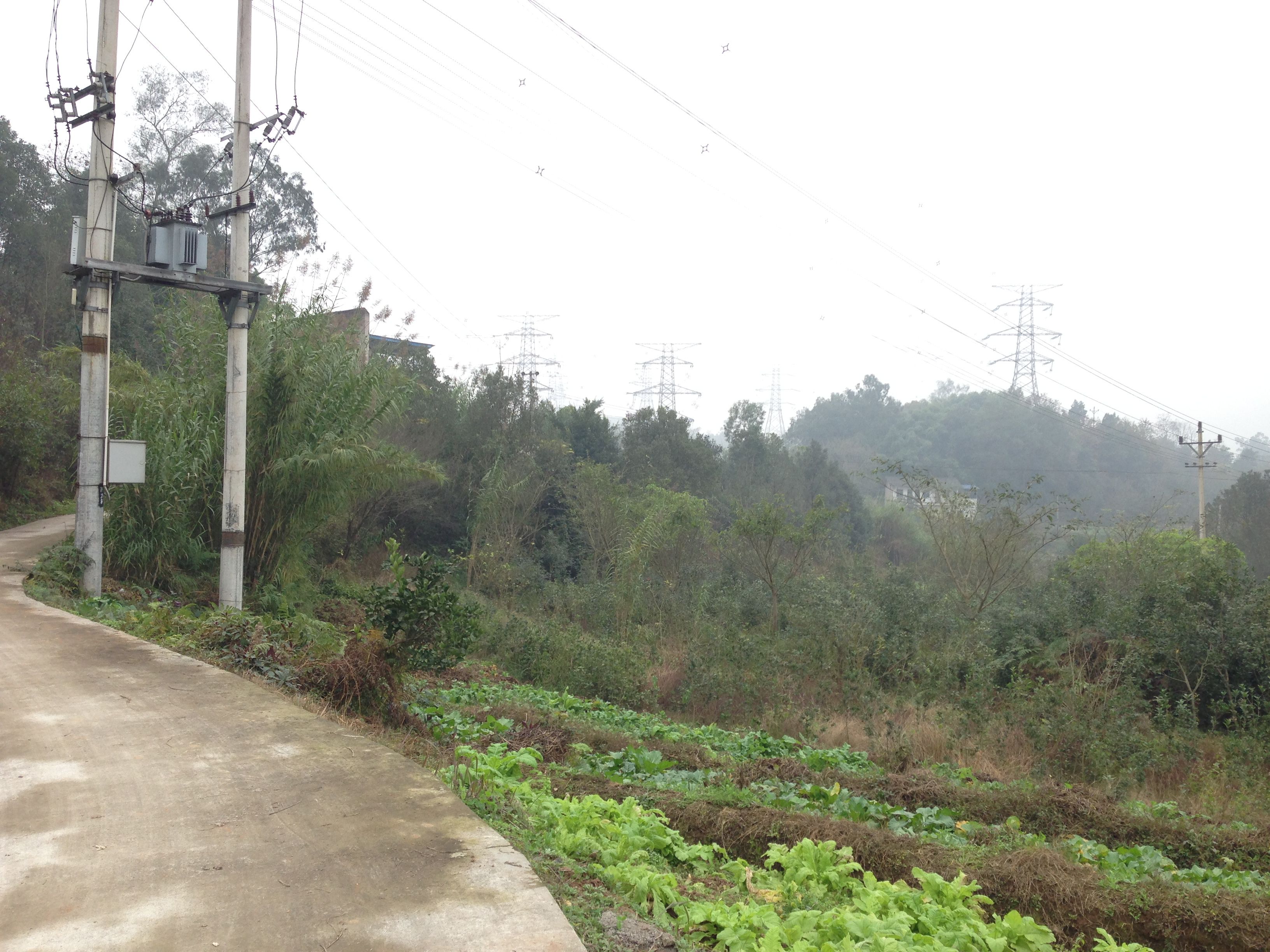 重庆市巴南区石龙镇大园村3800亩水浇地出租