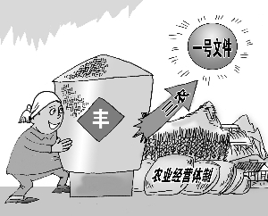 众人拾柴让三农发展火焰"旺"起来