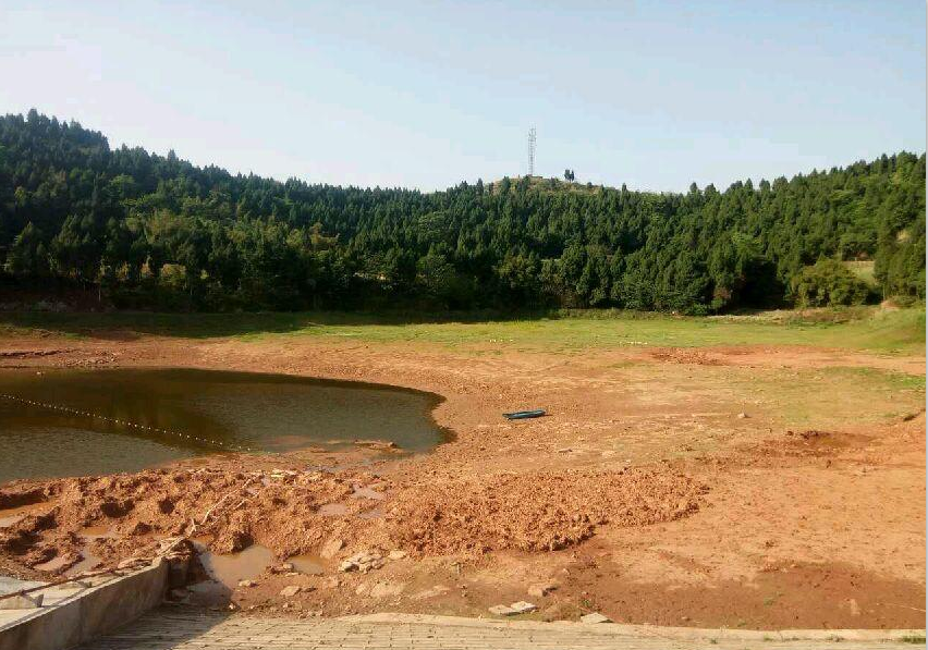 四川省成都市金堂县竹篙镇21亩水库出租